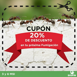 Cupón descuento hormigas